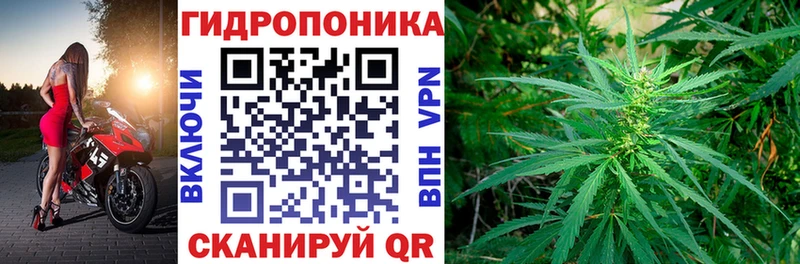 Цена Заозёрск ТГК Меф Гашиш Альфа ПВП